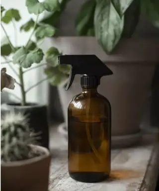 flacone spray marrone sul davanzale della finestra vicino a piante in vaso