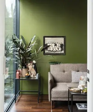 Zeleně natřené stěny od Farrow & Ball