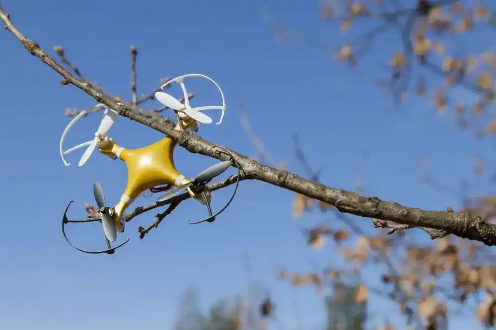 drone stuck in tree