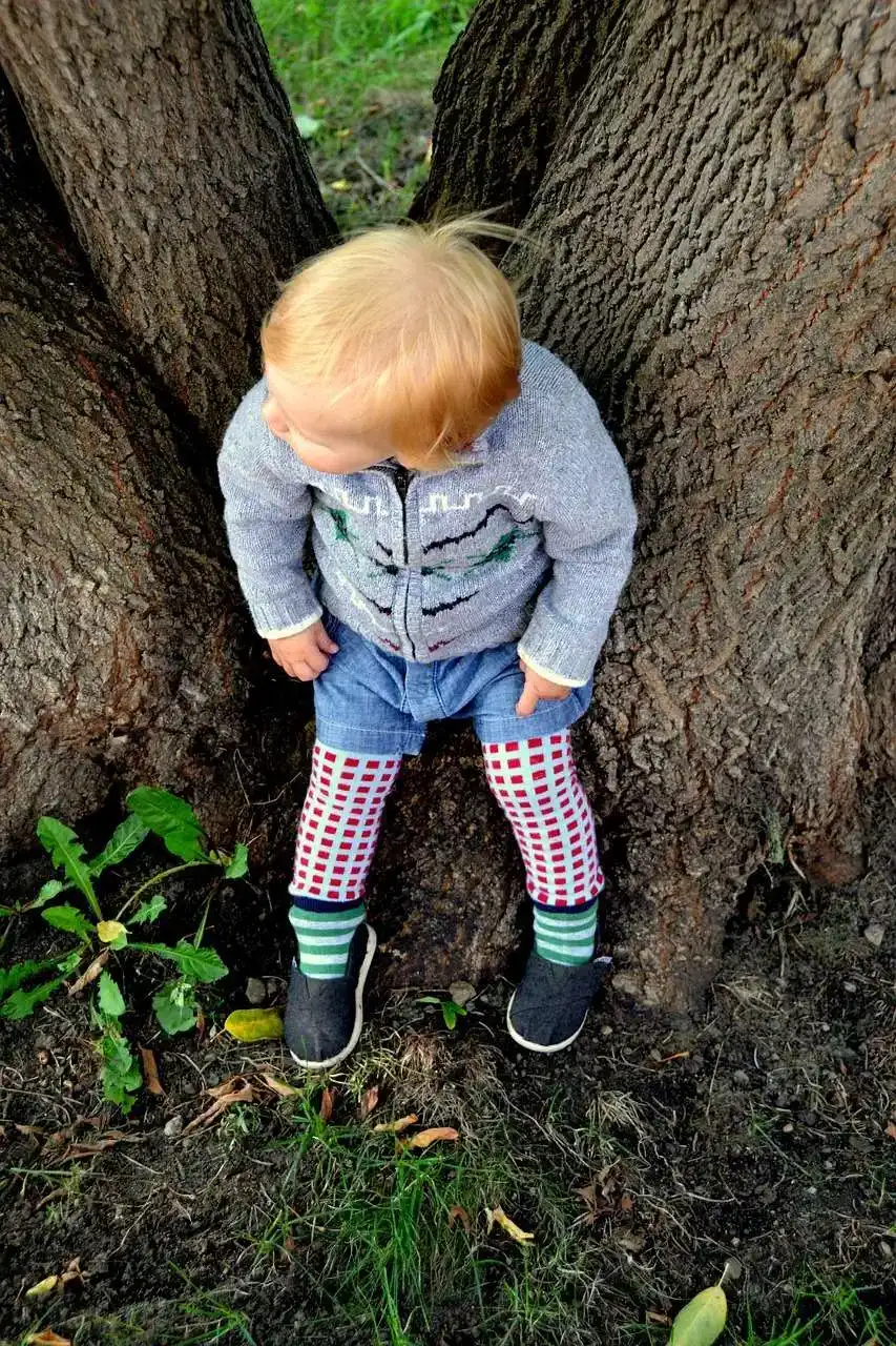 hiking tips for families with toddlers
