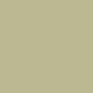 Benjamin Moore vernice verde georgiana
