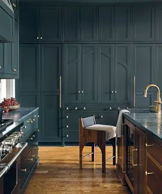 Cucina nera con idee per mobili da cucina scuri