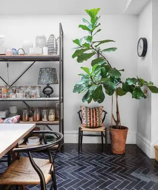 Lys spisestue med mørk parkett på gulv, lysegrå vegger, stor stueplante, reoler med glasskrukker, vaser og lampe under takvindu.