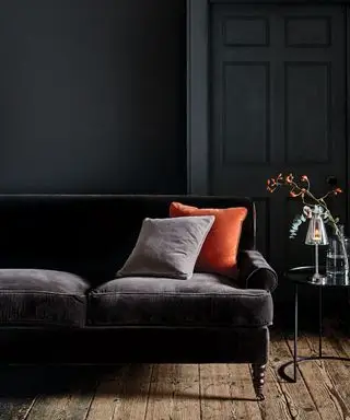 Salón negro con sofá de terciopelo.