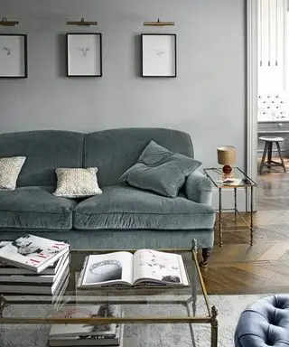 Ideas de sala de estar gris