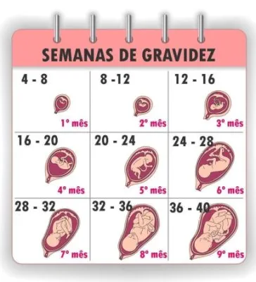 imagen cargad por usuario