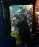 member avatar