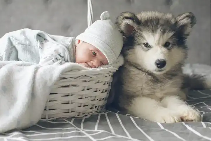 Animal Gender-Neutral Baby Names with Meanings