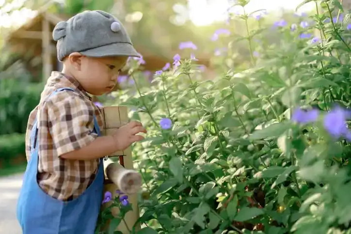 Flower names for boys