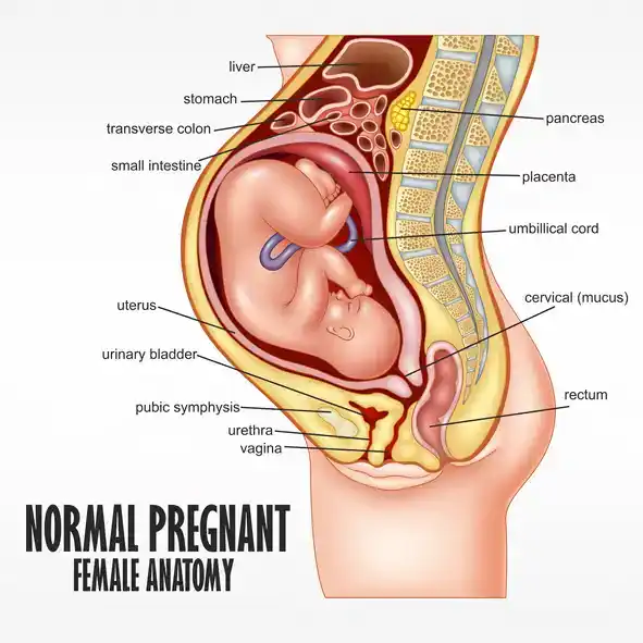 pregnant woman in bathroom