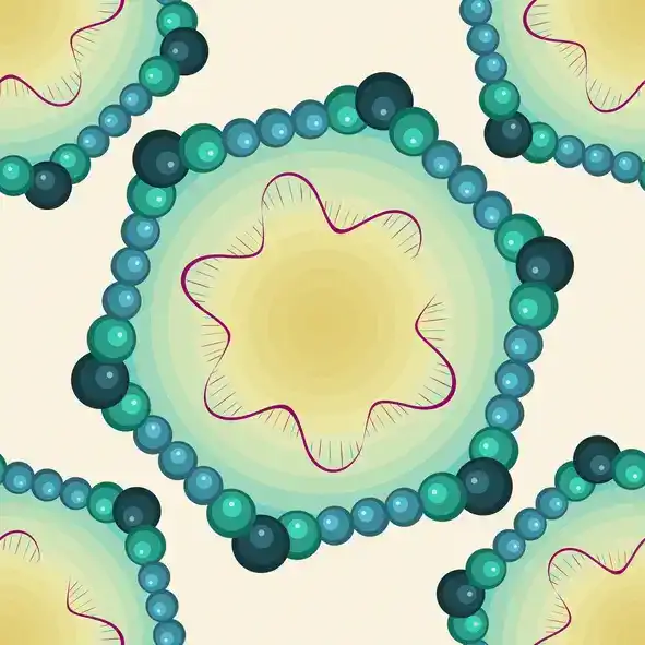 Parvovirus B19