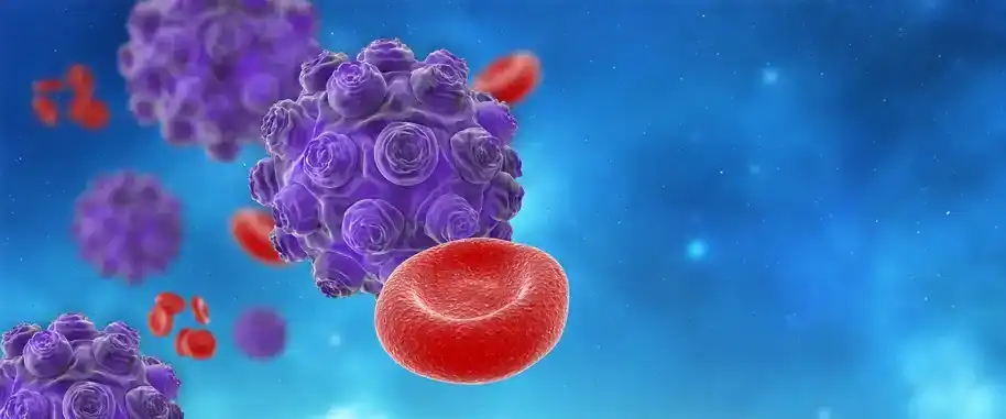 Rubella Virus
