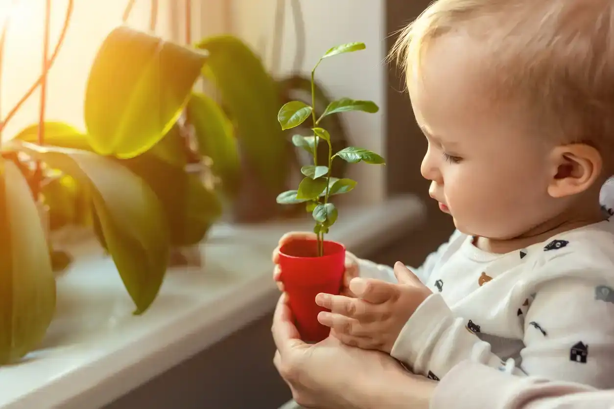 Unisex Names That Mean Green