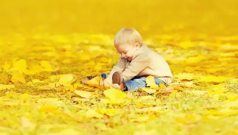 110 Earthy Boy Names Inspired by Nature
