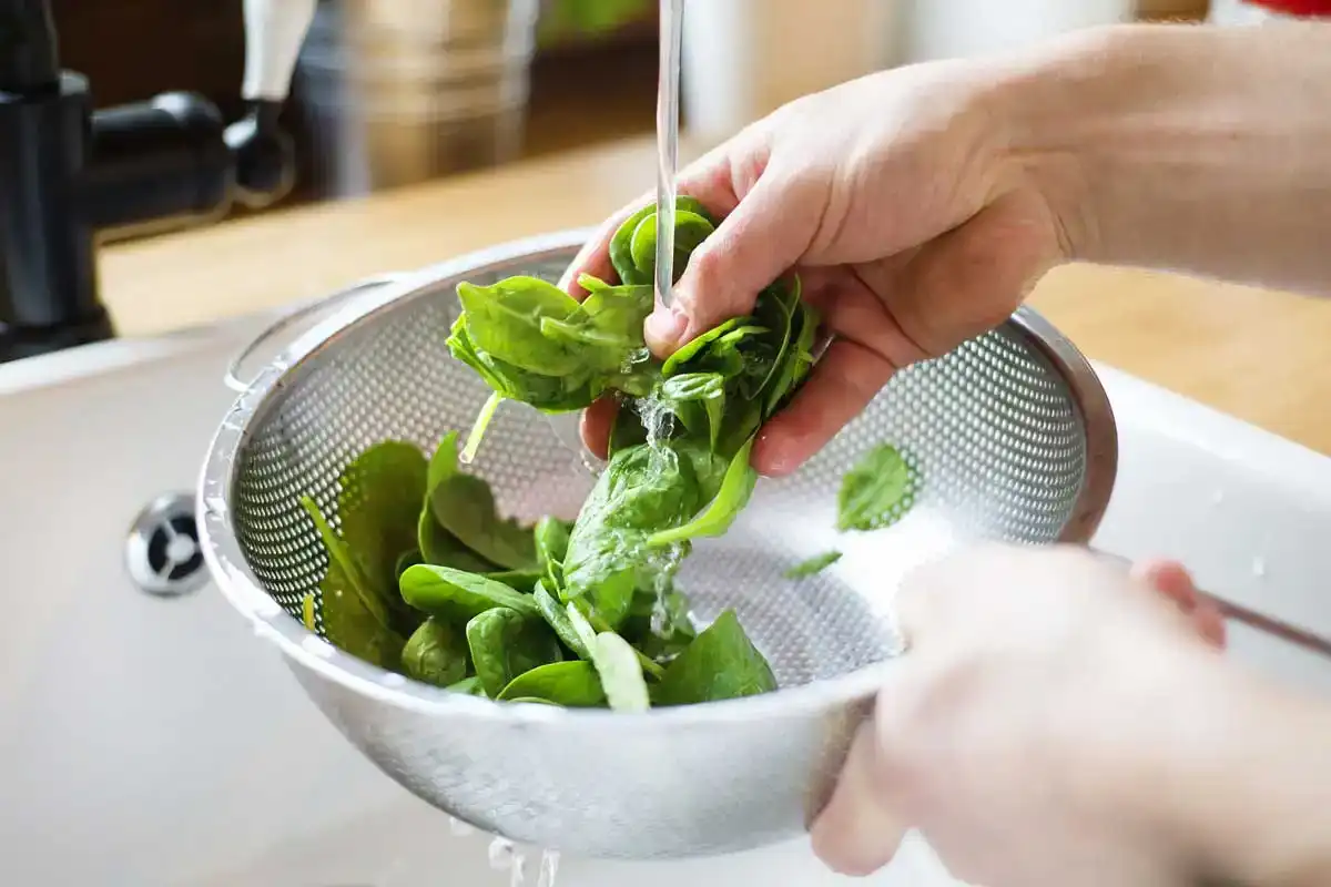 Five Foods for Fertility Leafy Greens