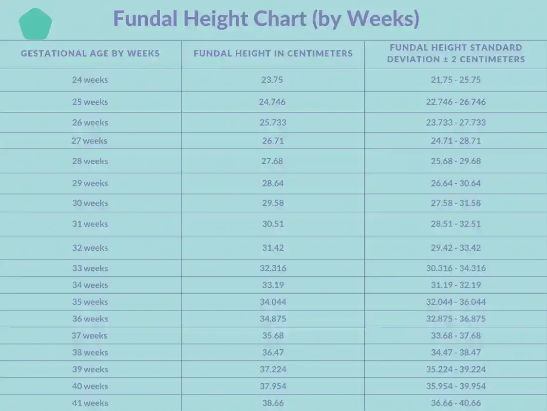 fundal height chart