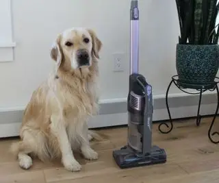 Testando o aspirador Shark Pet Cordless Stick em um piso duro