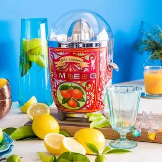 NutriBullet スロージューサー
