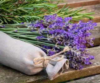 bolsita de lavanda