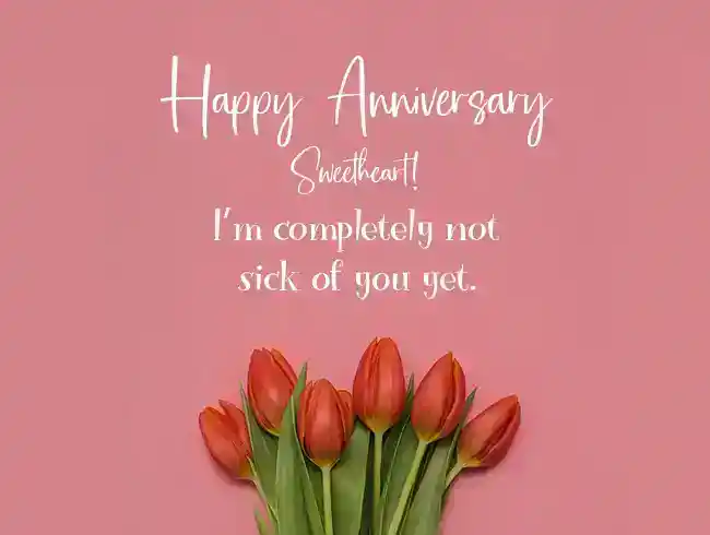 Funny-Anniversary-Wishes-for-Wife
