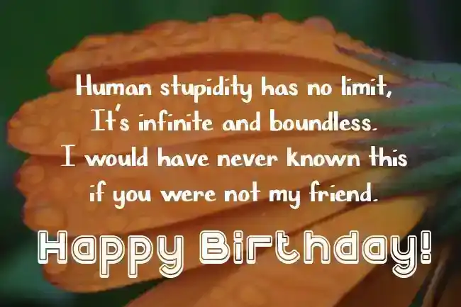 Funny Birthday Messages For Friend