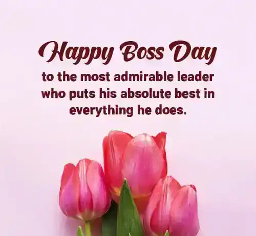 Boss Day Appreciation Messages