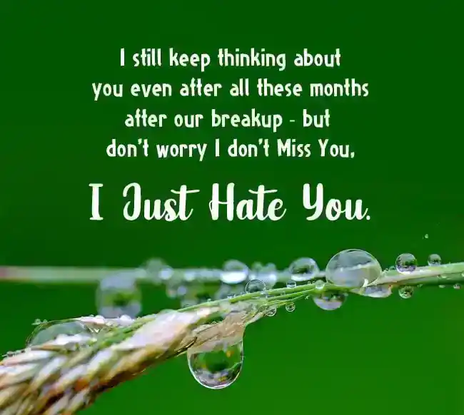 hate quotes for gf