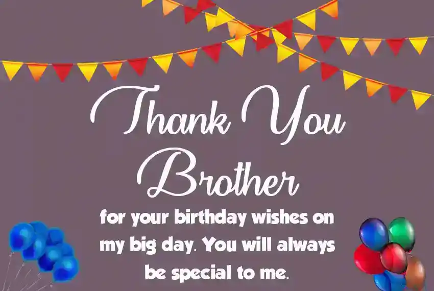 Thank You Brother for Birthday Wishes