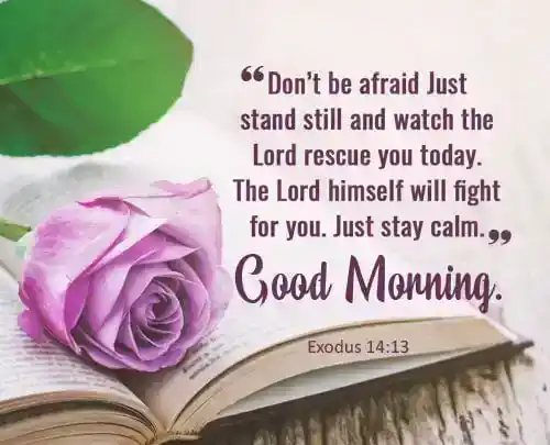 Encouraging Morning Bible Verses