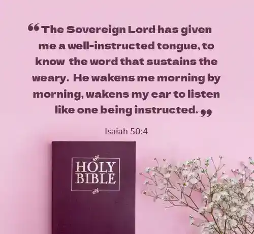 morning scriptures from the bible
