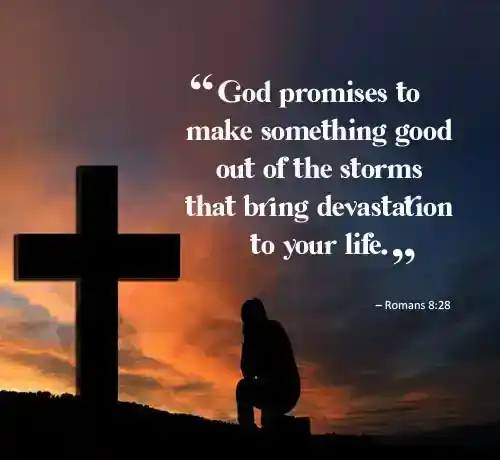 Bible verses about life