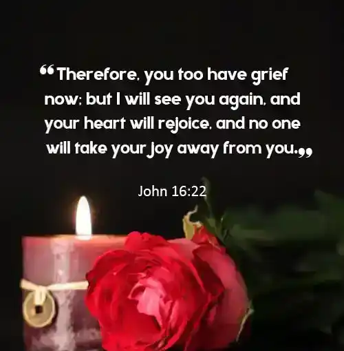 biblical sympathy message