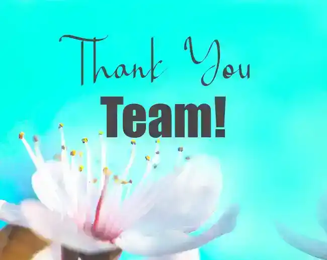 Thank-You-Team