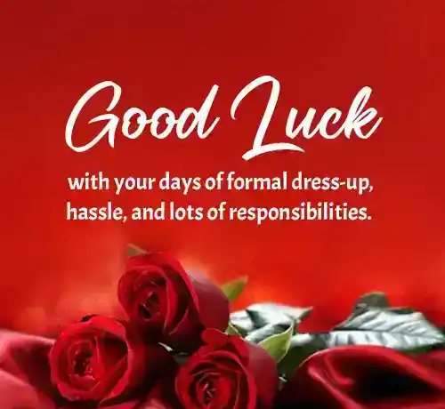 funny good luck messages for new job