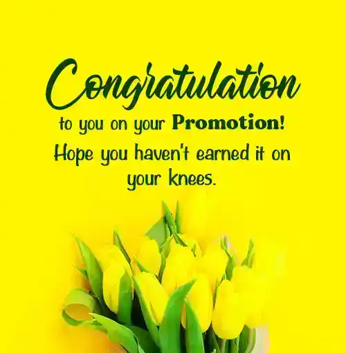 funny job promotion quotes