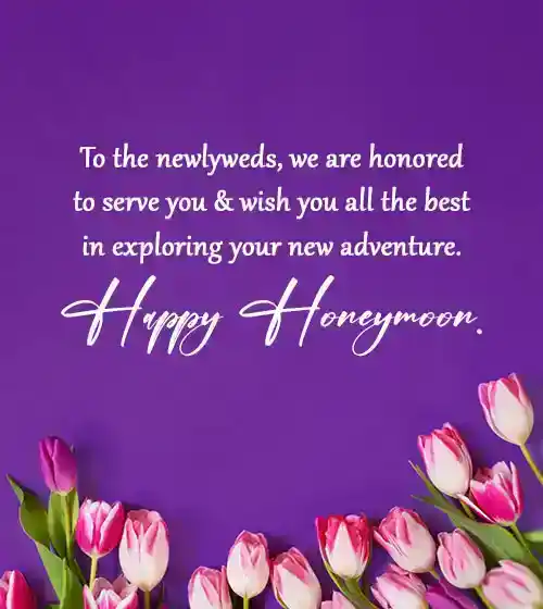 honeymoon wishes for hotel guest