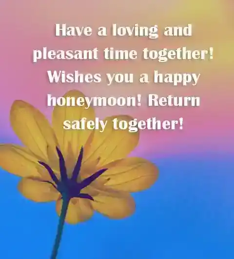 wishes for honeymoon