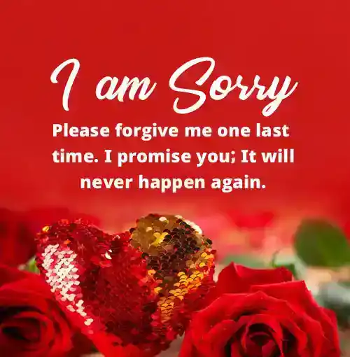 sorry message for husband