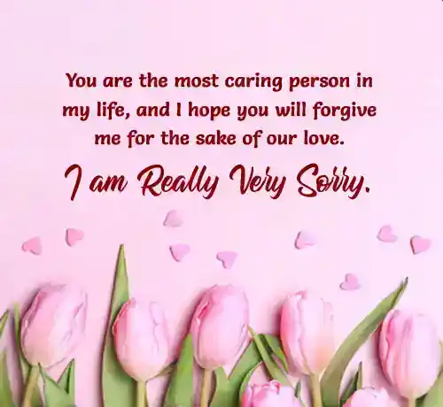 sorry quotes for husband