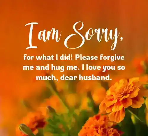 sorry msg for husband