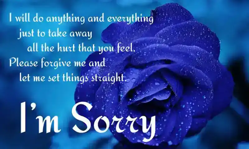im sorry picture messages for husband