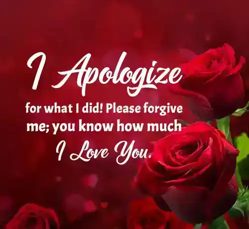 apology message to my husband