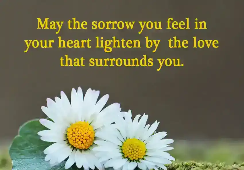 Words of Encouragement for Divorce