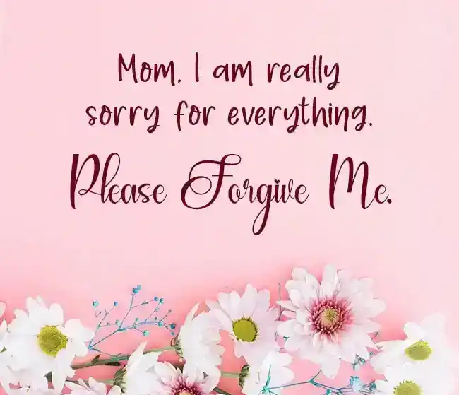 I am Sorry Mom Messages