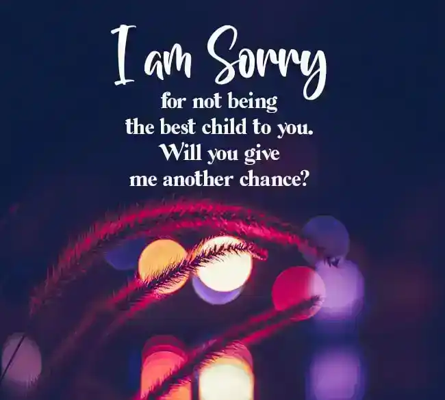 sorry msg to mom from son