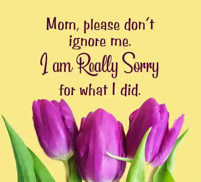 Sorry Message for Mother