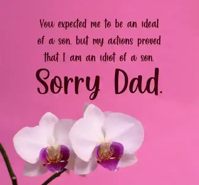 Sorry Dad Messages From Son