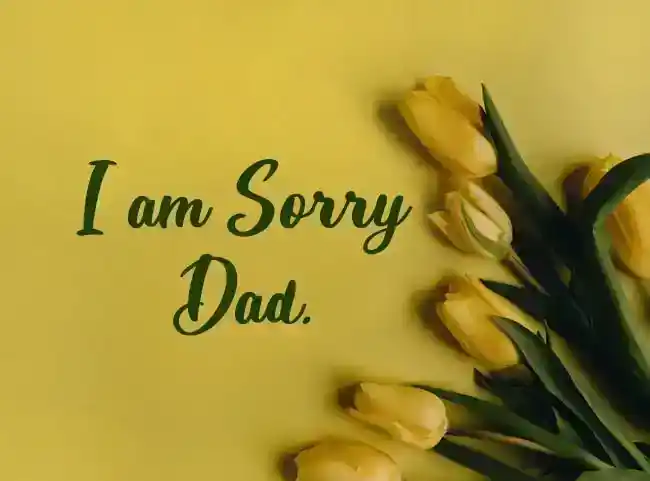 sorry dad