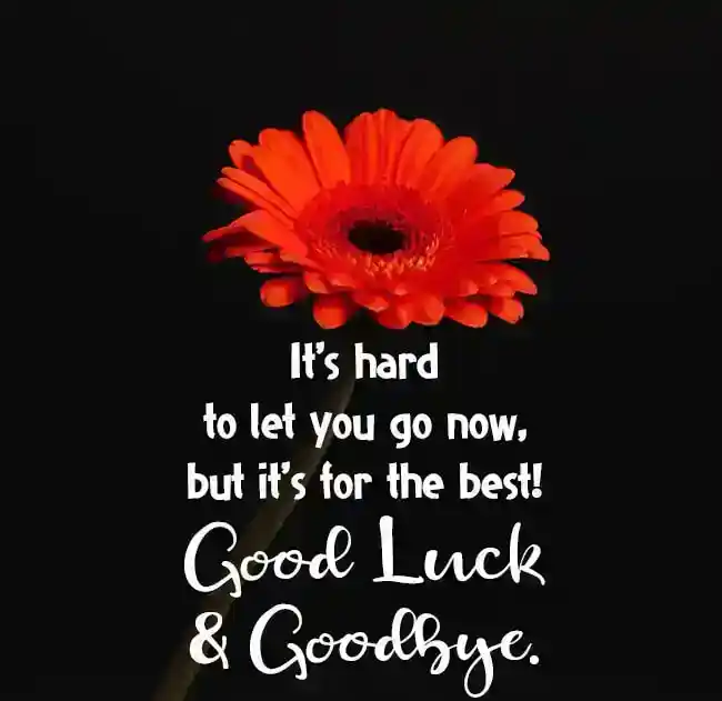message for friend going abroad