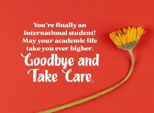 happy journey wishes for study